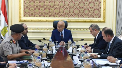 رئيس الوزراء يعقد اجتماعًا لاستعراض مشروع تنمية واستصلاح 1,5 مليون فدان