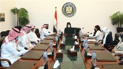 270 مليون جنيه تمويلاj من «إدارة منحة السعودية» للمشروعات الصغيرة