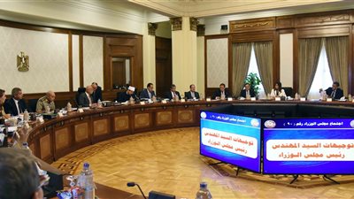 قرار وزاري بإنشاء كليات طب الأسنان بالمنوفية والآثار والتربية بالشرقية