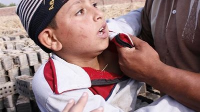 اختتام فعاليات ورشة العمل الإقليمية حول سياسات الحد من عمل الأطفال