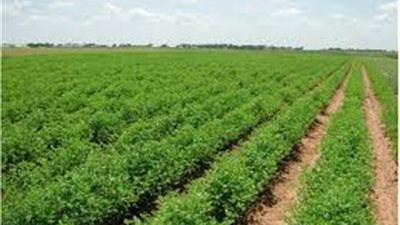 ارتفاع الصادرات الزراعية إلى 3,8 مليون طن خلال 11 شهرًا