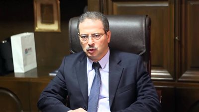 قرار وزاري بتشكيل مجلس إدارة شركة غرب الدلتا لإنتاج الكهرباء