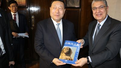 «شاكر» يبحث تعزيز التعاون المشترك مع منظمة الربط الكهربائى العالمى 