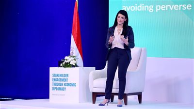 «الأمم المتحدة الإنمائي»: مبادئ مصر الاقتصادية تُعزز اتساق التمويل مع أولويات وطنية