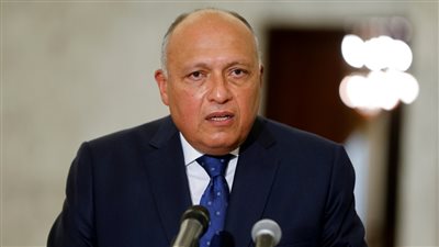 شكري يجري لقاءات مستمرة في مجلس الأمن لشرح موقف مصر تجاه قضية سد النهضة