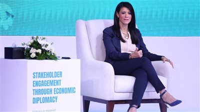 منير أكرم: مصر تُدشن إطارًا لمطابقة التمويلات الإنمائية مع أهداف التنمية المستدامة