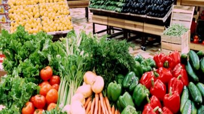 صادرات الإسماعيلية خلال 11 شهرًا تبلغ 276 مليونًا و500 ألف دولار 