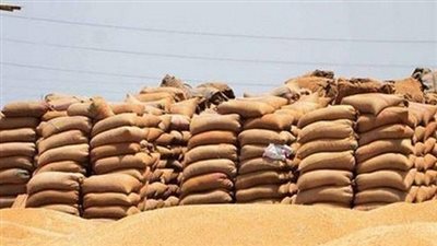 الثلاثاء.. مصر تنتهي من تفريغ شحنة القمح الروماني