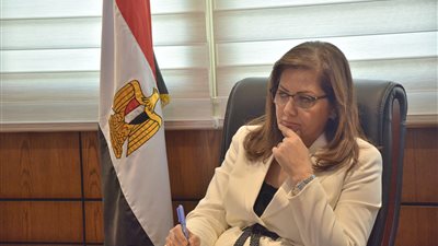 التخطيط : 11,9 مليار جنيه استثمارات الكهرباء والطاقة المتجددة في 2017-2018