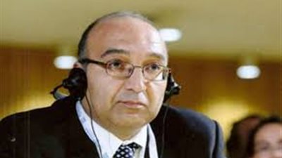 مندوب مصر بالأمم المتحدة: لا نعتد بأي قرارات حول الشذوذ الجنسي   