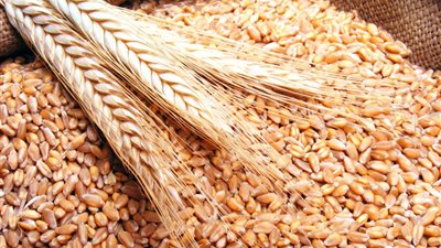 اتفاق إماراتي أردني لتوريد القمح والشعير إلى 