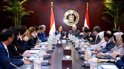 وزيرا الاستثمار والري يبحثان مع 