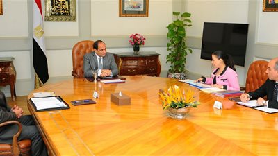 السيسي يستعرض جهود تفعيل منظومة الشباك الواحد والخدمات الإلكترونية