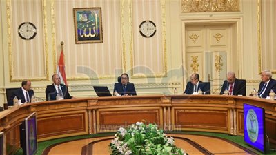 رئيس الوزراء يبحث مستجدات ملف إدارة البحيرات وتنميتها 