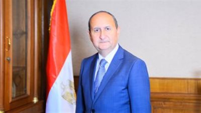 قرار وزاري بتشكيل الجانب المصري في مجلس الأعمال «الإماراتي»