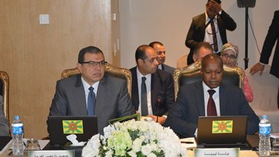 مصر تتنازل عن رئاسة مجلس منظمة العمل العربية للعراق (صور)