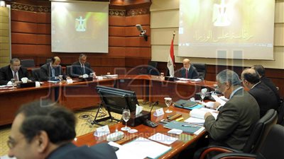 بالصور.. رئيس الوزراء يبحث مشكلات إنتاج الأسمدة الأزوتية مع المجموعة الاقتصادية