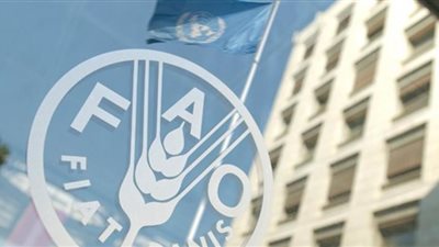 «فاو»: ارتفاع أسعار الغذاء العالمية خلال فبراير بدعم «الألبان»