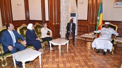وفد وزاري مصري يبحث مع رئيس تشاد زيادة الاستثمارات المشتركة