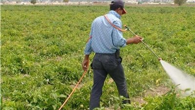 علماء يردون على إعلان منظمة الصحة بشأن 