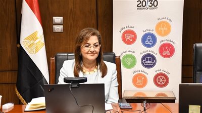 وزيرة التخطيط تؤكد مرونة المؤسسات المصرية في مواجهة كورونا
