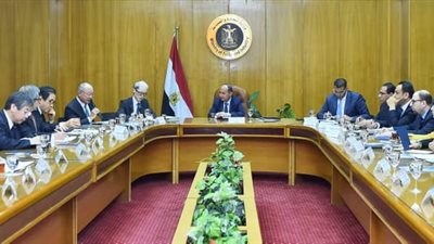 وزير التجارة يبحث مع 50 شركة يابانية تعزيز الاستثمارات بمصر
