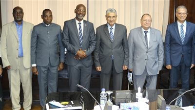 مصر وبوروندي يبحثان التعاون المشترك في مجال الكهرباء والطاقة المتجددة