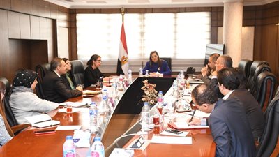وزيرة التخطيط تبحث مع مديرة «البنك الدولي» التعاون المشترك
