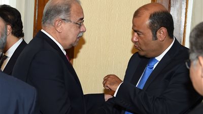 الوزراء: فصل مشروعات محطات كهرباء 