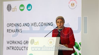 البنك المركزي المصري يستضيف اجتماعات التحالف الدولي للشمول المالي 