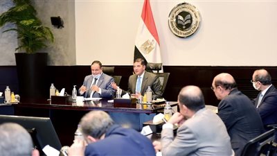 رئيس هيئة الاستثمار: حريصون على زيادة إنتاجية الشركات العاملة بالمناطق الحرة