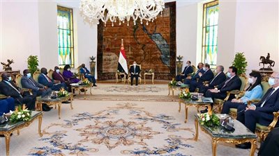 السيسي يبحث سبل تعزيز التعاون الثنائي بين مصر وجنوب السودان