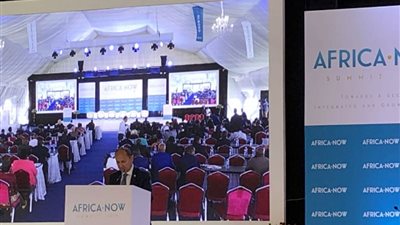 وزير التجارة: 3 محاور تلخص الرؤية المصرية لمواجهة تحديات أفريقيا