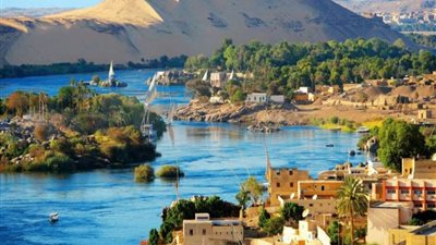 ريادة الأعمال.. أحد محاور مناقشات ملتقى الشباب العربي والأفريقي 