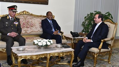 السيسي يبحث تعزيز التعاون العسكري مع تنزانيا