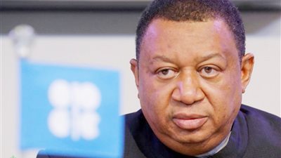أمين «أوبك»: استثمارات النفط مازالت بطيئة