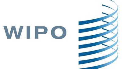 المنظمة العالمية للملكية الفكرية تشارك في ملتقى الشباب بأسوان