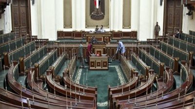 نائب برلماني يطالب بتشديد العقوبات في قانون التظاهر