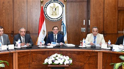 «البترول»: 4 مشروعات بتروكيماويات بـ1,5 مليار جنيه خلال الأعوام الـ4 المقبلة