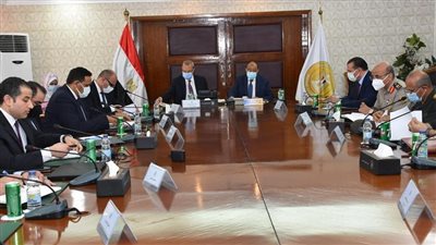 شعراوى: توفير 85% من أراضي مشروعات برنامج تطوير الريف المصري