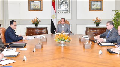 الرئيس يوجه بمواصلة جهود تطوير شركات قطاع الأعمال العام 