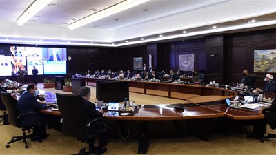 الحكومة تعتمد أسعار بيع البيوت الريفية بالوادي الجديد