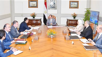 السيسي يبحث فى اجتماع موسع إصلاح و حوكمة أداء شركات الأدوية