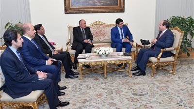 السيسى يبحث مع مبعوث الرئيس الموريتاني تعزيز التعاون المشترك