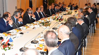 السيسي يلتقي سكرتير عام منظمة التعاون الاقتصادي بباريس