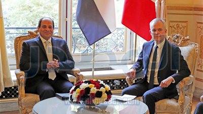 السيسي يؤكد أهمية تعزيز التعاون بين مجلسي النواب المصري والفرنسي