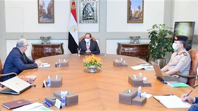 السيسي يوجه بتطوير وإستغلال القرية البحثية في توشكي