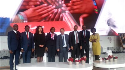 وزير المالية: مصر مستعدة لنقل تجربتها في الإصلاح لدول أفريقيا