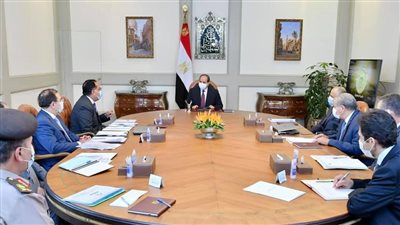 السيسي يوجه بتعزيز جهود تطوير قطاع التعدين في مصر