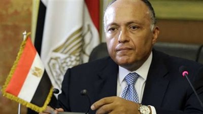 وزير الخارجية يترأس وفد مصر في اجتماع لوزان الخاص بسوريا